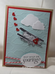 DSC_0408 Valentine airplane