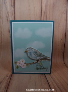 Stampin’ Up! CAS Birthday made withBest Birds stamp set and designed by Demo Pamela Sadler. See more cards at stampinpinkrose.com #stampinpinkrose