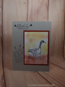 Stampin’ Up!   birthday card made with Wetlands stamp set and designed by Demo Pamela Sadler. See more cards at stampinpinkrose.com #stampinpinkrose
