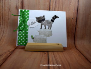 Stampin’ Up! CAS friendship card made with Foxy Friends stamp set and designed by Demo Pamela Sadler. See more cards at stampinkrose.com #stampinpinkrose