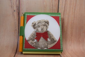baby-bear-with-notepad-001