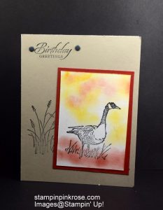 Stampin’ Up! Birthday card made with Wetlands stamp set and designed by Demo Pamela Sadler. See more cards at stampinkrose.com #stampinkpinkrose #etsycardstrulyheart