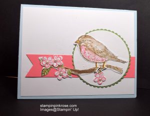 Stampin’ Up! Any Occasion card made with Best Birds stamp set and designed by Demo Pamela Sadler. See more cards at stampinkrose.com #stampinkpinkrose#etsycardstrulyheart