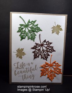 Stampin’ Up! Any Occasion card made with Colorful Seasons stamp set and designed by Demo Pamela Sadler. Think of who could use a colorful card. See more cards at stampinkrose.com and etsycardstrulyheart