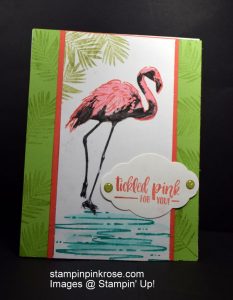 Stampin’ Up! Special Occasion card made with Fabulous Flamingo stamp set and designed by Demo Pamela Sadler. Take a stroll with this beautiful flamingo. See more cards at stampinkrose.com and etsycardstrulyheart.com