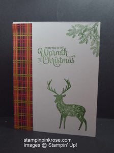 Stampin’ Up! CAS Christmas card with Merry Patterns stamp set and designed by Demo Pamela Sadler. This is perfect for the nature lover. See more cards at stampinkrose.com and etsycardstrulyheart
